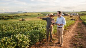 Guide scene for investimentos-em-terra-e-agronegócio-para-pessoas-físicas